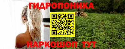 стафф Старая Купавна