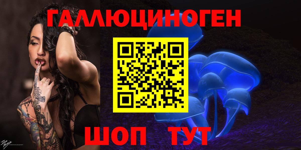Псилоцибиновые грибы GOLDEN TEACHER  Вход с VPN  Аргун  Псилоцибиновые грибы прущие грибы 